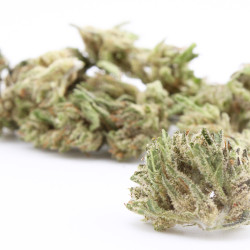 Veganic Zatomic US - Small Buds