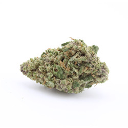 Liberty Haze - Small Buds