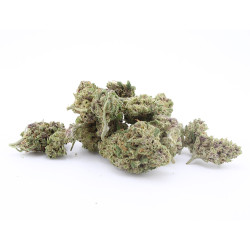 Liberty Haze - Small Buds