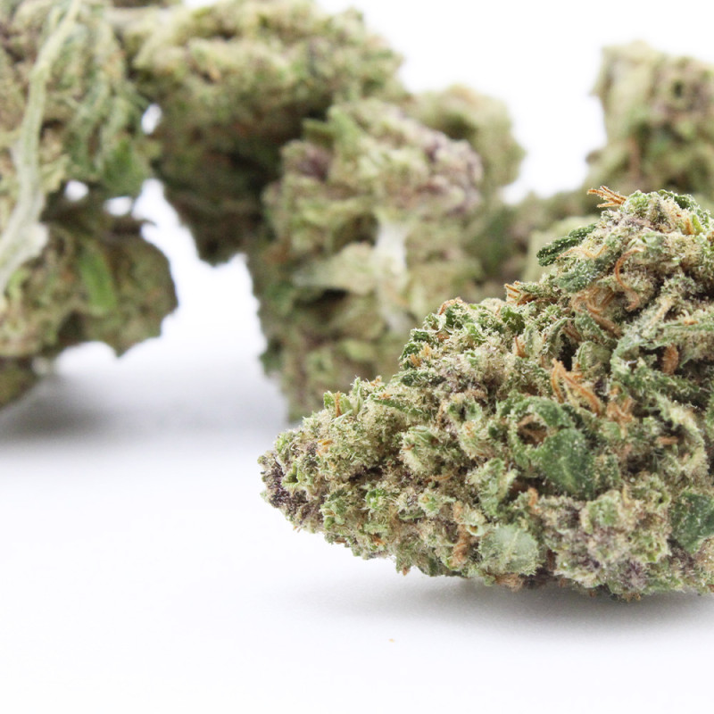 Liberty Haze - Small Buds