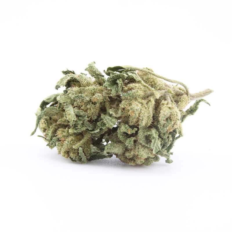 Orange Bud - Small Buds