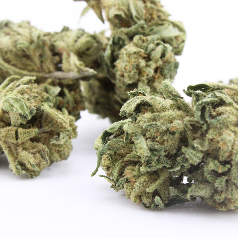 Orange Bud - Small Buds