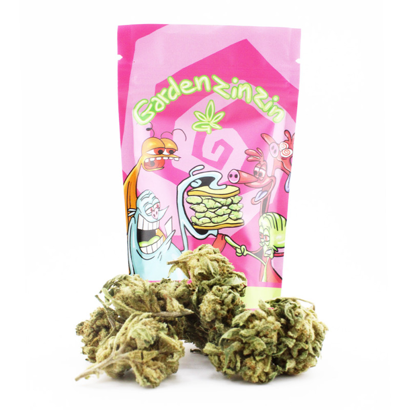 Orange Bud - Small Buds