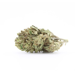 Veganic Zatomic US - Small Buds