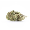 Veganic Zatomic US - Small Buds
