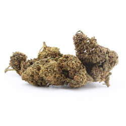 Captain Cookie - Le Pavillon Vert