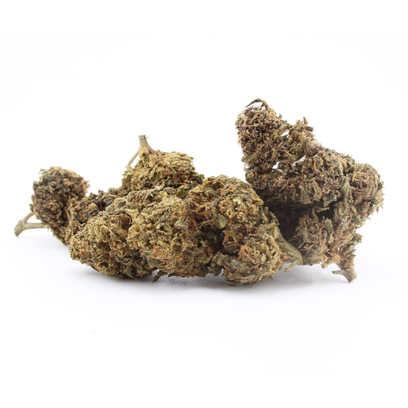 Captain Cookie - Le Pavillon Vert