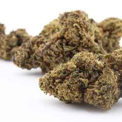 Captain Cookie - Le Pavillon Vert