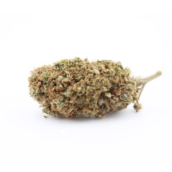 Sapphyre Kush CBD