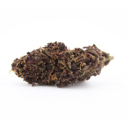 Deep Purple - Le Pavillon Vert