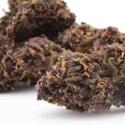 Deep Purple - Le Pavillon Vert