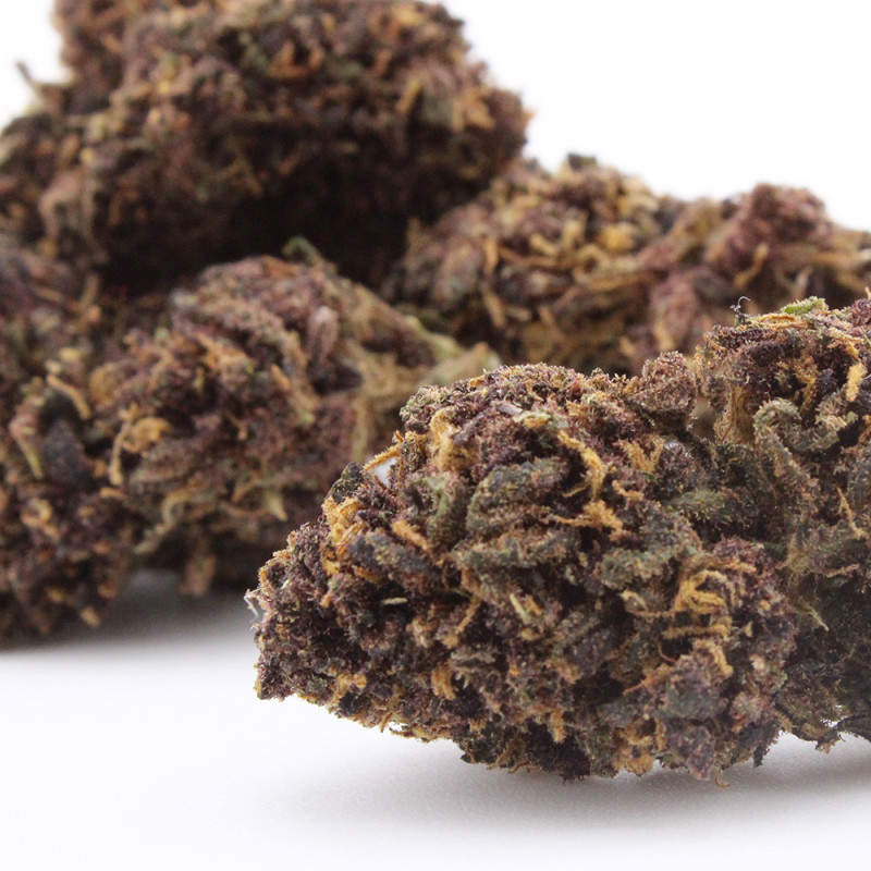 Deep Purple - Le Pavillon Vert