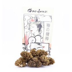 Jungle Mist - Le Pavillon Vert