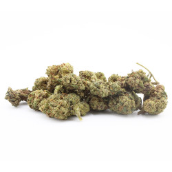 Fleur H3 Turbo Jalouse