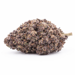 Fleur H3 turbo Blue Zushi