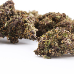 Fleur H3 turbo Blue Zushi