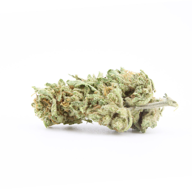 Mandarine Kush - Small Buds