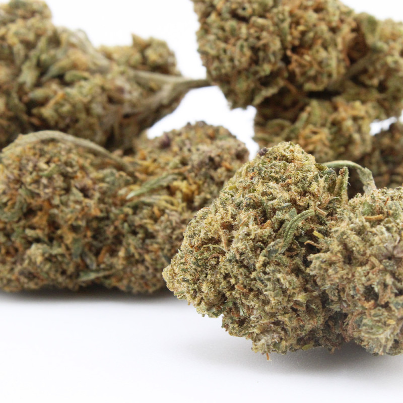 Forbidden Runtz fleur cbd