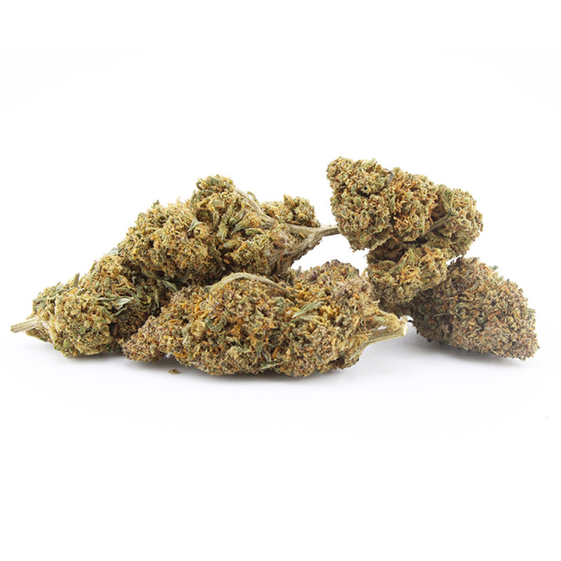 Forbidden Runtz fleur cbd