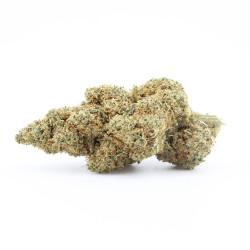 Zunzet Zkittlez fleur cbd