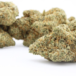 Zunzet Zkittlez fleur cbd