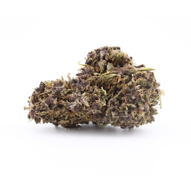 Purple Runtz fleur cbd