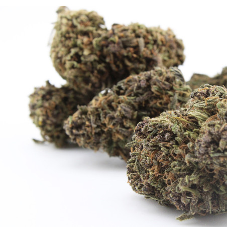 Sapphire Kush CBD – Qualité Premium Française | Acheter en Ligne