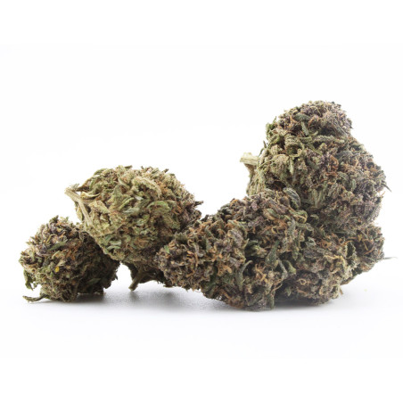 Sapphire Kush CBD – Qualité Premium Française | Acheter en Ligne