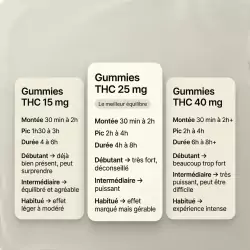 Gummies THC 250MG Lemon Demon – Space Gummiz