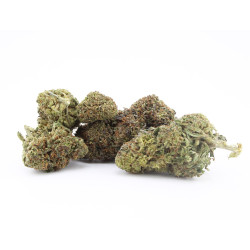 Phantom Cookie Turbo