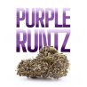purple runtz cbd