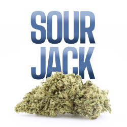 sour jack cbd