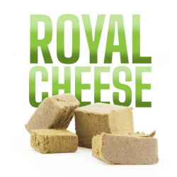 royal cheese