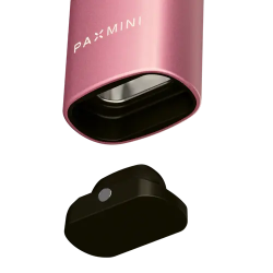Vaporisateur PAX Mini 2 Pink Crush – Herbes sèches, 22s | Gardenz