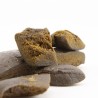Résine Fire OG H3 5% — Hash OG Semi-Foam | Gardenz