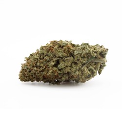 Brain Wash - CBD