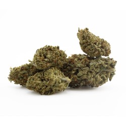 Brain Wash - CBD