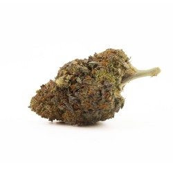 Gas Face - CBD