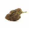 Gas Face - CBD