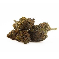 Gas Face - CBD