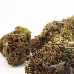 Gas Face - CBD