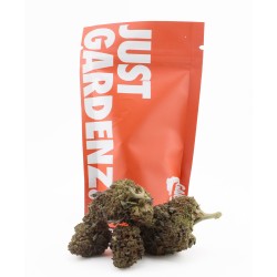 Gas Face - CBD