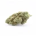 Plutonium - CBD