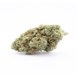Plutonium - CBD