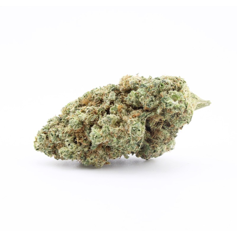 Plutonium - CBD