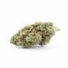 Plutonium - CBD