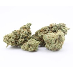 Plutonium - CBD