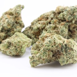 Plutonium - CBD
