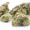 Plutonium - CBD