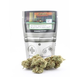 Plutonium - CBD